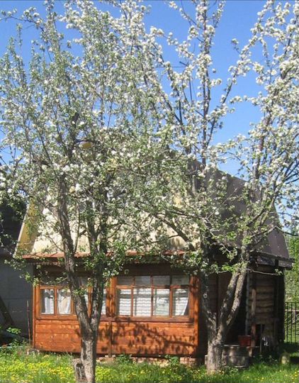 Дача 41 м² на участке 4 сот.