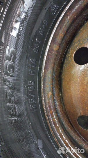 Шины СССР ЕХ-85 185/65 R14