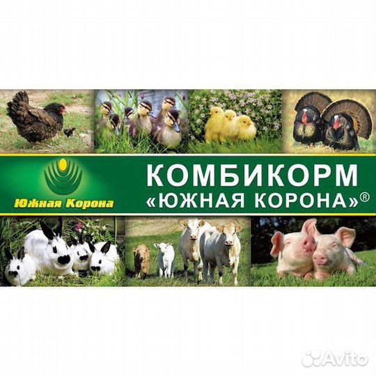 Комбикорма для всех видов с/х животных и птицы