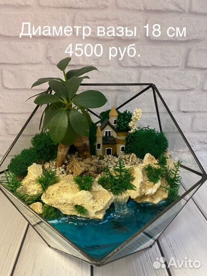 Флорариум Бонсай с Фикусом Гинсенг, Мирсиной