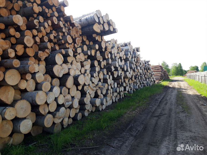 Пиловочник осина