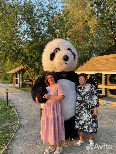 Панда/Аниматоры/Панда поздравление