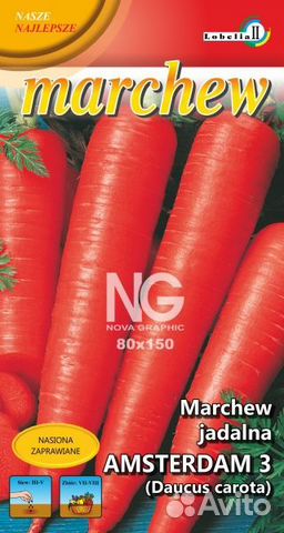 Морковь Амстердам 5г.