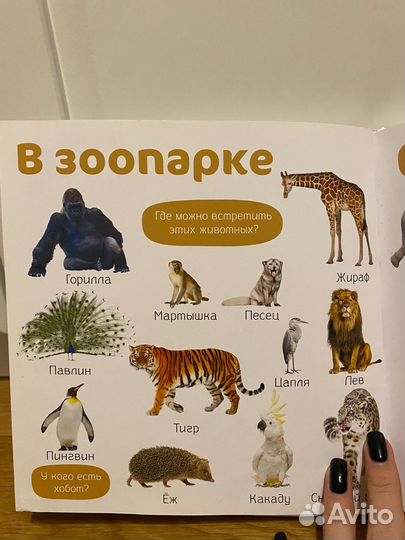 Детские книги clever