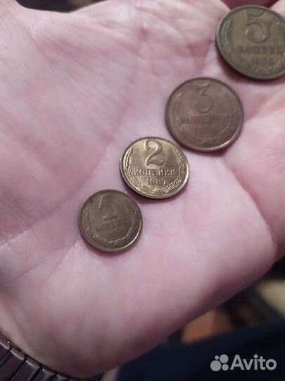 Хобби, коллекционирование