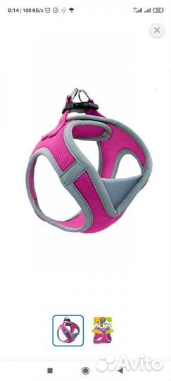 Шлейка для маленьких собак