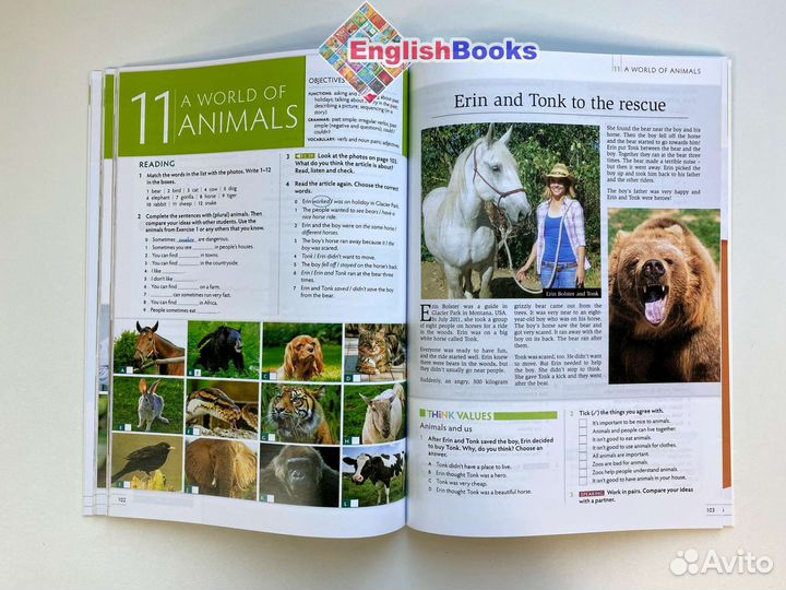 Think starter комплект (SB,WB,CD) новые в плёнке