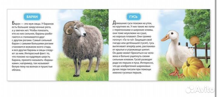 Обучающие книжки набор 6 шт новые