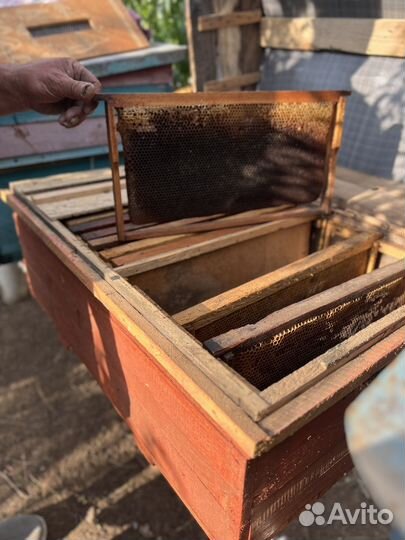 Пчелиные рамки