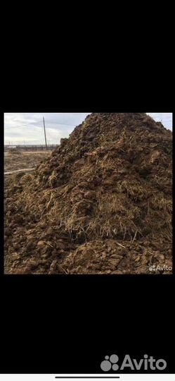 Перегной навоз