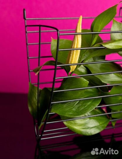 Кормушка для сена 171416