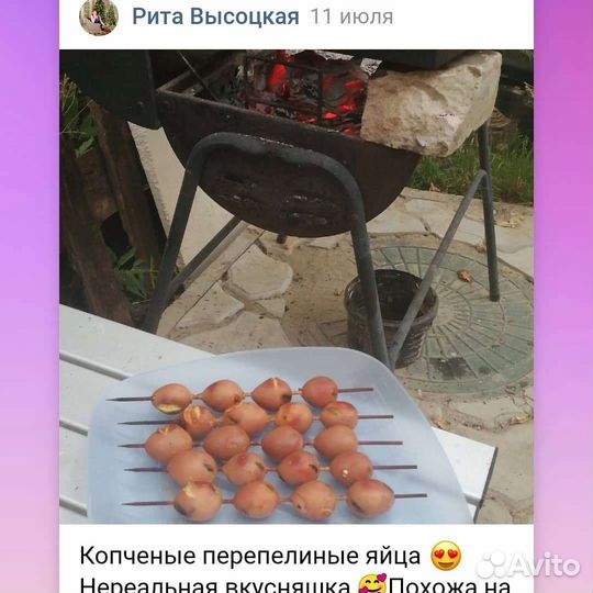 Яйцо домашнее