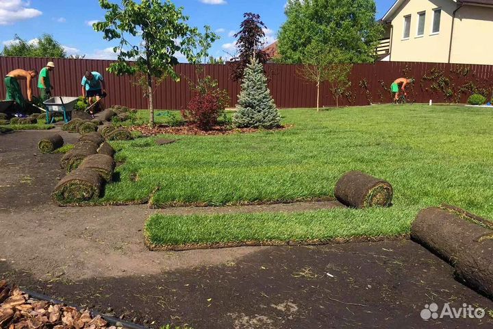 Рулонный газон под ключ