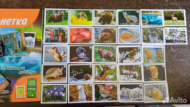 Наклейки из Монетки