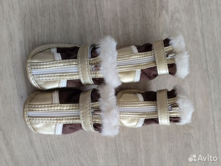 Сапожки для собак