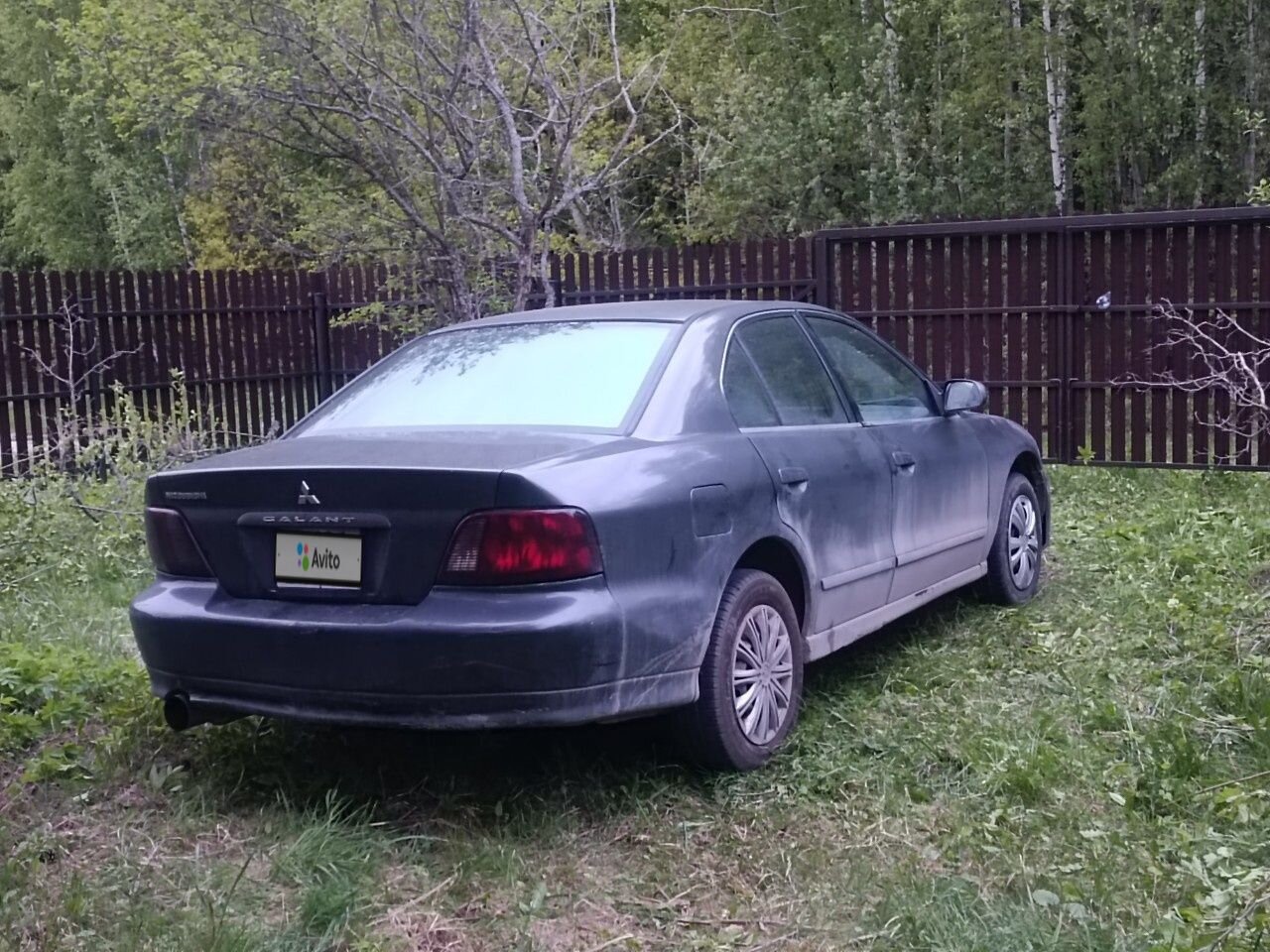 Mitsubishi Galant: фото владельца