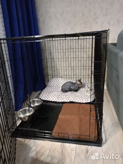 Клетка для собак 6 номер