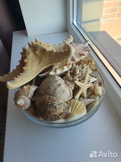 Декор для аквариума