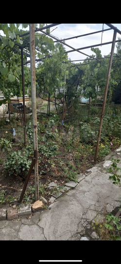 Дом 29 м² на участке 4,4 сот.