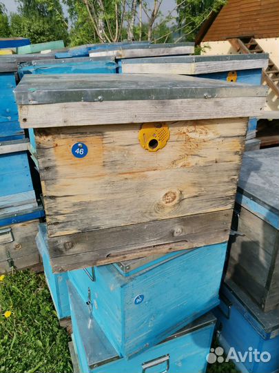 Улей для пчел
