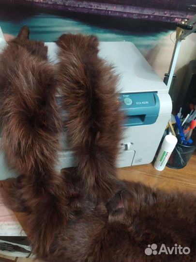 Шкурки песца