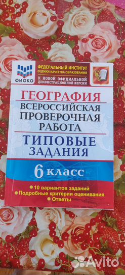 Учебник для подготовки к впр по географии