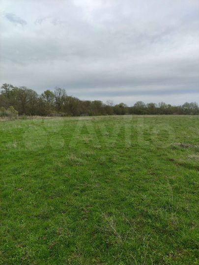 Участок 1,2 га (СНТ, ДНП)