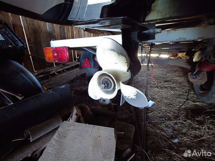 Моторная лодка с прицепом