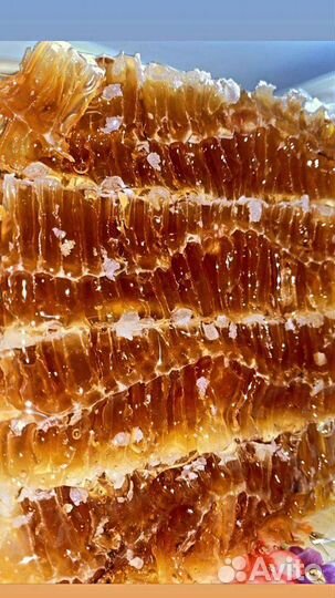 Мед, мёд в сотах