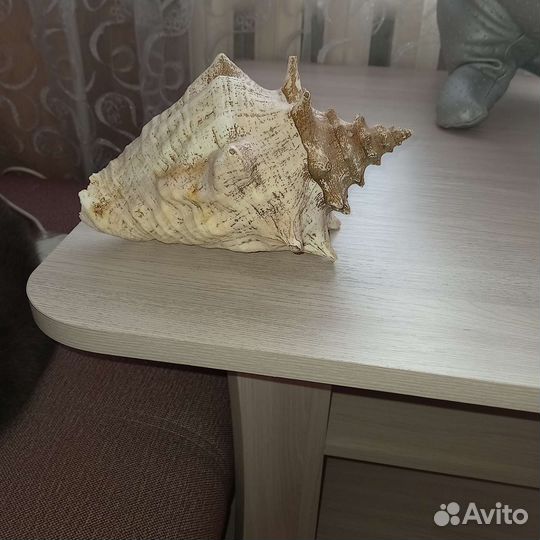 Раковина для аквариума