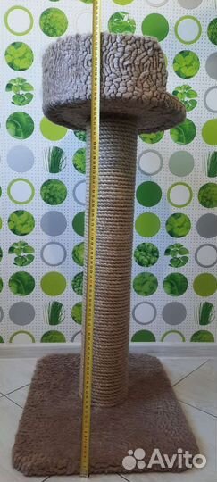 Когтеточка с лежанкой