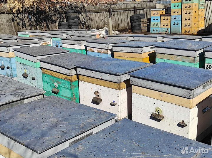 Ульи дадан 15ти рамочные, многофункциональные