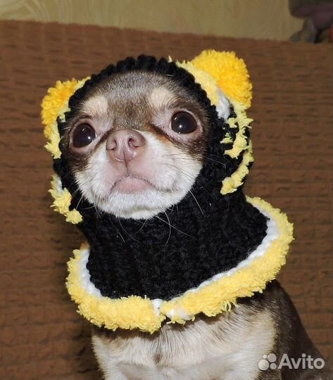 Одежда для собак и кошек