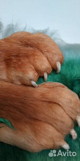 Картина из ваты