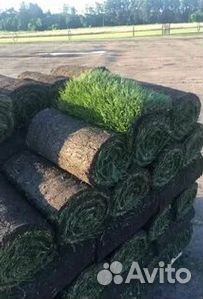 Газон рулонный гарантия