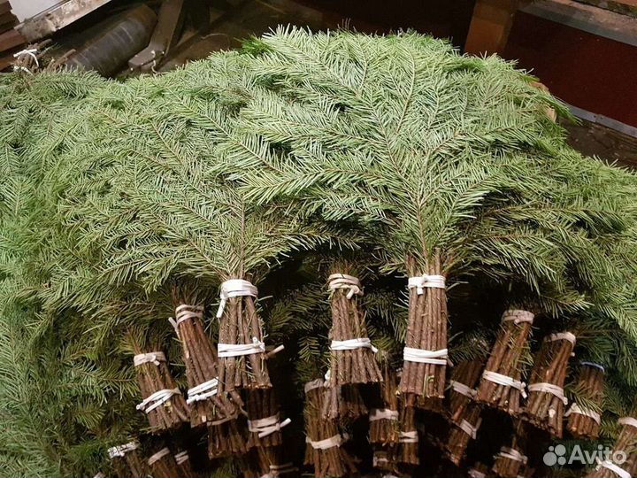 Пихтовые веники