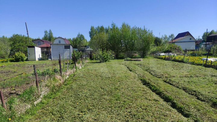 Участок 5,5 сот. (СНТ, ДНП)