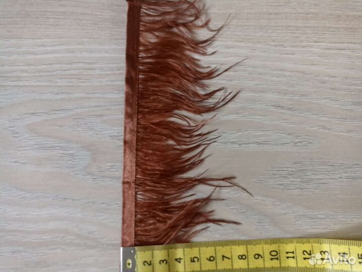 Перо на ленте