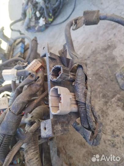 Проводка Ниссан примера п12 07г левый руль 1.8ат