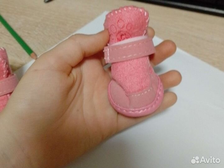 Ботинки для собаки