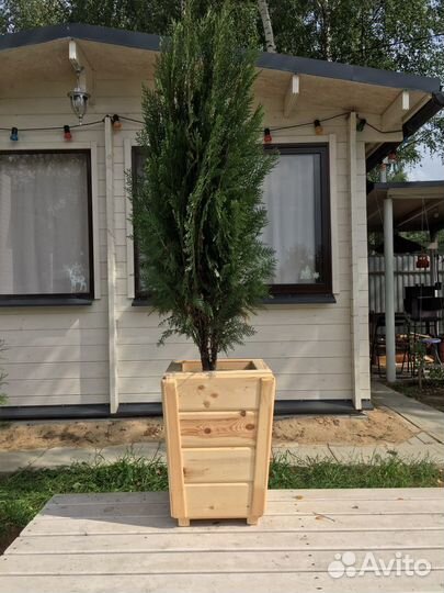 Вазон (кашпо)