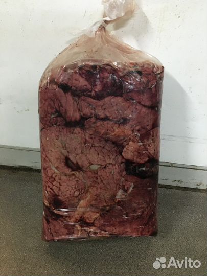 Лёгкое говяжье