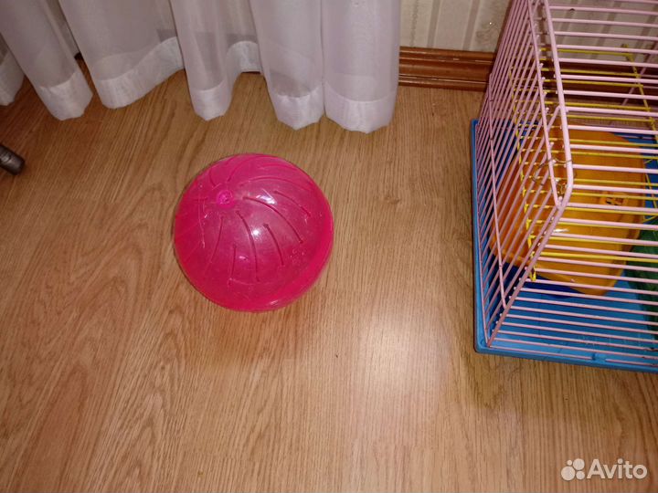 Шар прогулочный, для грызунов