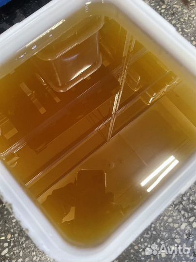 Свежий мёд Майский. Качка 2023 г. Оптом