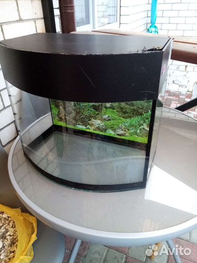 Аквариум