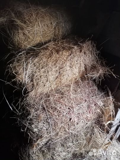 Правда сено 25 30кг куюргазинский д Юмагузино