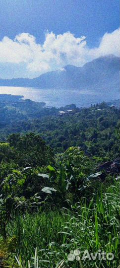 Тур на бали под ключ