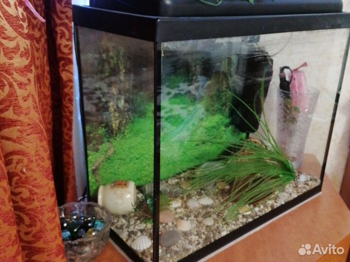 Аквариум с фильтром и светом