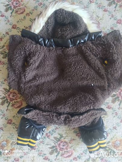 Одежда для чихуахуа