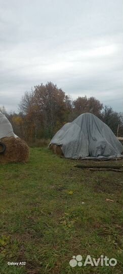 Салом и сено